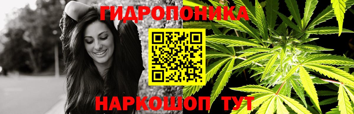 Канабис White Widow  Шишки марихуана планчик  Канабис сатива  Вход с VPN  Моршанск  Каннабис тримм 